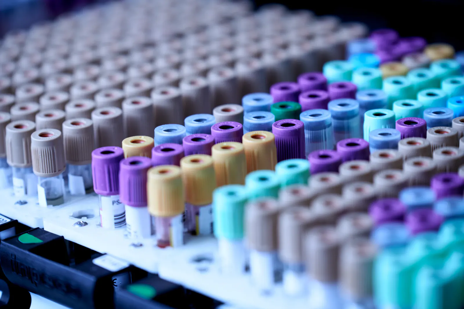 Labeled laboratory specimen tubes prepared for handling